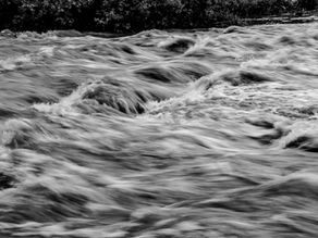 Prophets don’t Tweet “I Told You So”