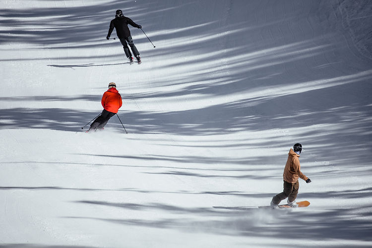 Image by Joshua Sukoff
