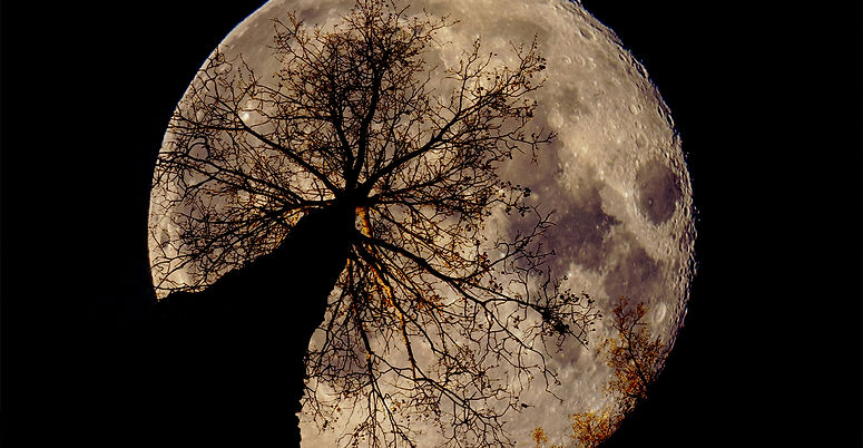 Image by Andrus Lukas