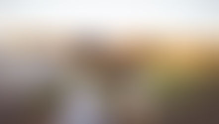 In God I Put My Trust