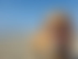 Top 10 Dog Walks in the UK Where You’ll Definitely Need a Dog Wash After