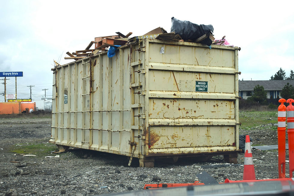 CITY WIDE CLEAN UP DAYS (FINISHED)