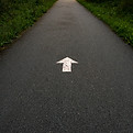 Image by Alex Saks