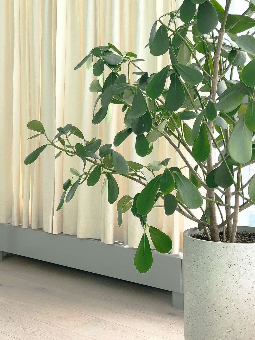 Eco Smart Work place