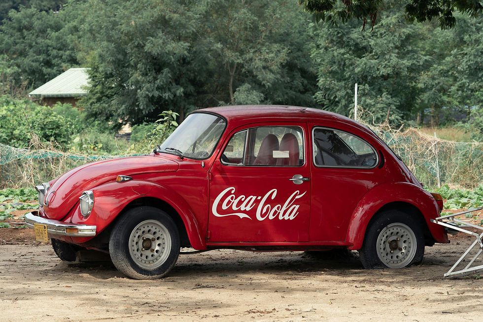 red VW Beetle with a Coca-Cola logo parked in the wilderness