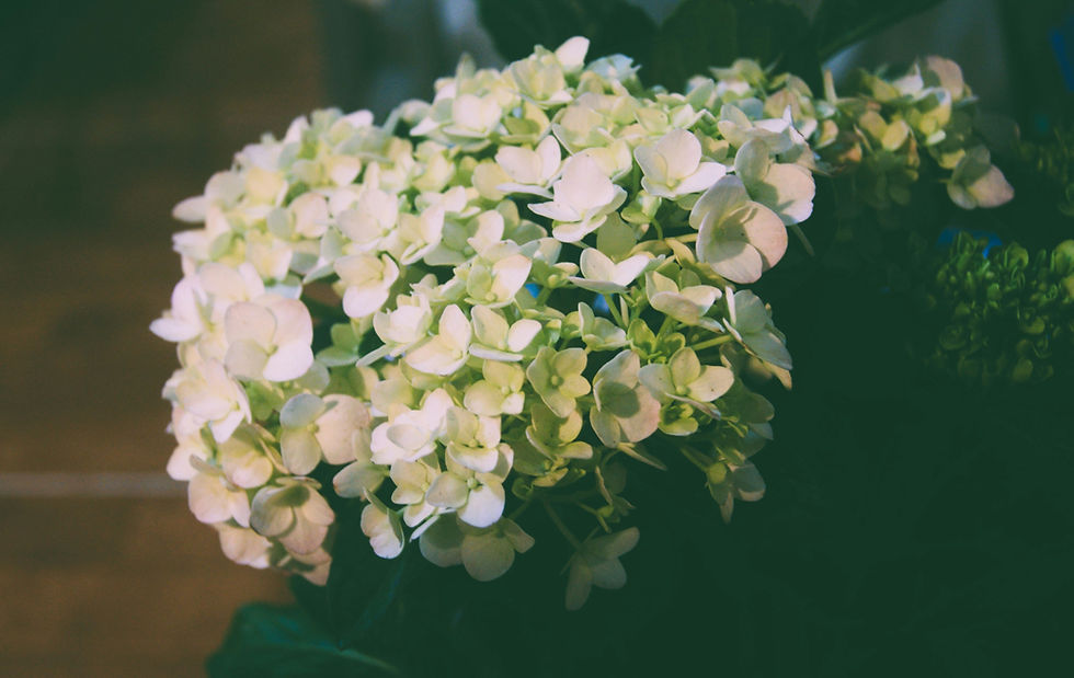Eye-level view of a rustic wedding centerpiece with hydrangeas and greenery