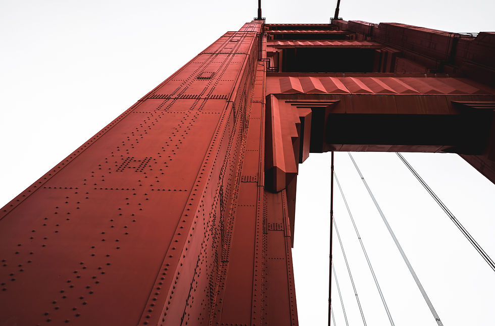 Image by Patrick Schneider