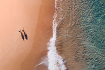 Image by Lachlan Dempsey