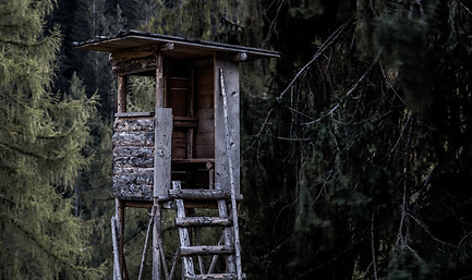 Image by Jakob Puff