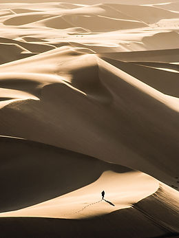 Image by Finding Dan | Dan Grinwis