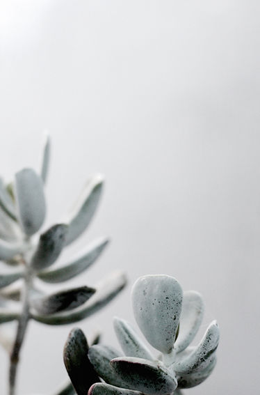 Image by vicky smit