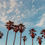Thumbnail: Los Angeles Room Spray