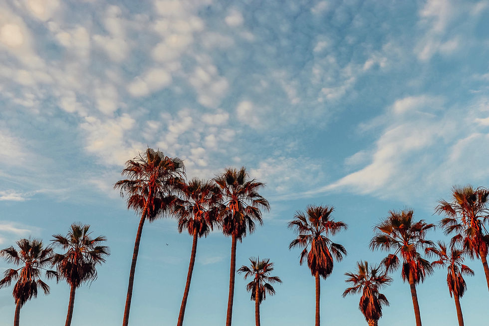 Image by Viviana Rishe