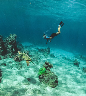 Image by Subtle Cinematics