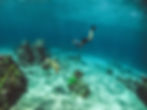 Les secrets de Guadeloupe: trésors sous-marins cachés à explorer