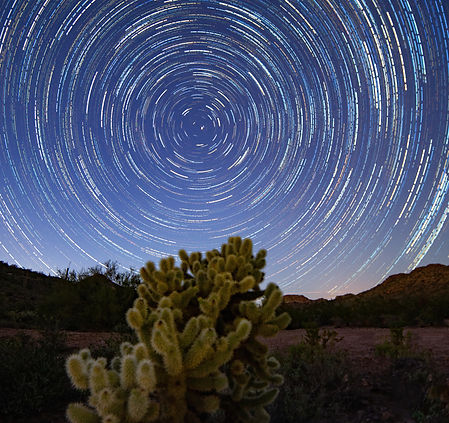 Image by Tom Gainor