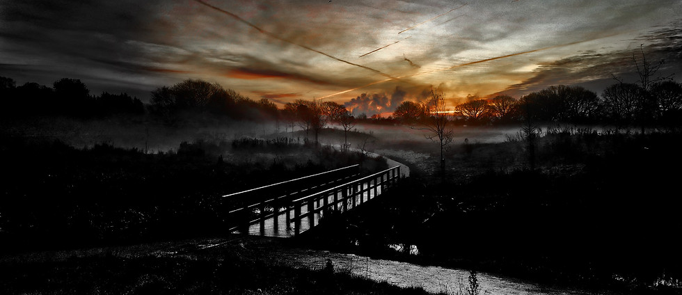 Image de Ergin Yıldızoglu