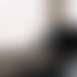 Post-confinement : préparez et aider vos Animaux.