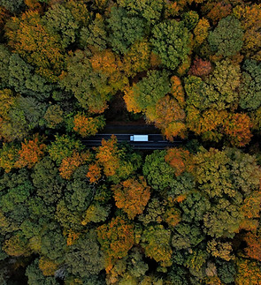 Image by Chris Weiher