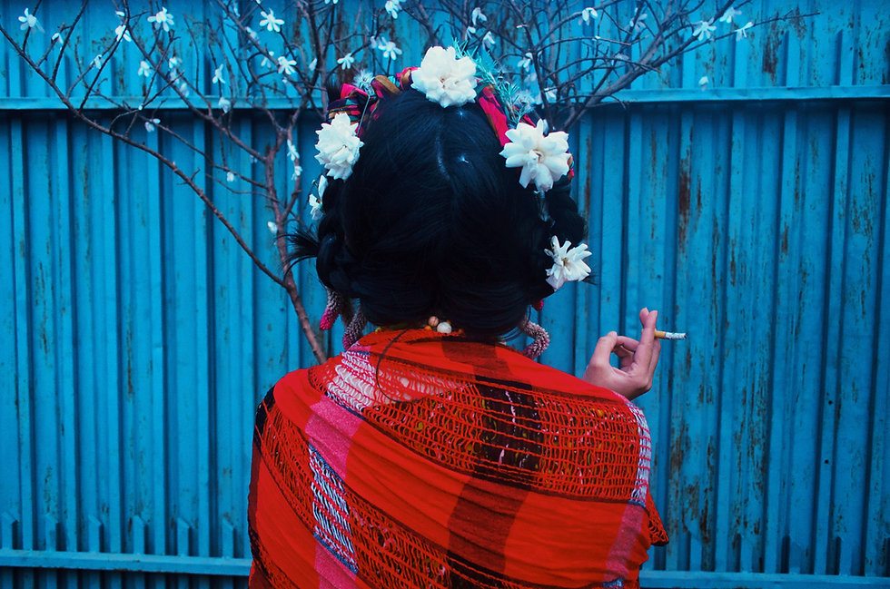 Image by Camila Cordeiro