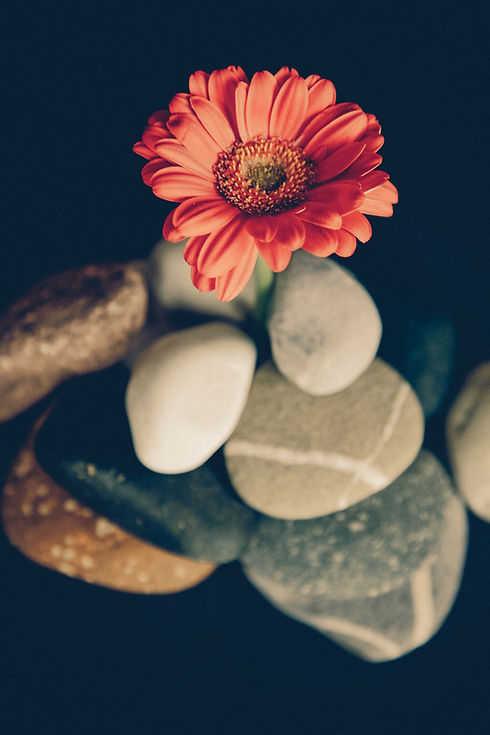 Image by Markus Spiske