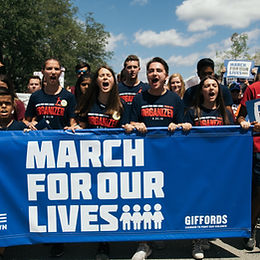 Gun Violence Prevention