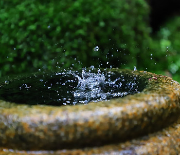 Image by Mathis Jrdl