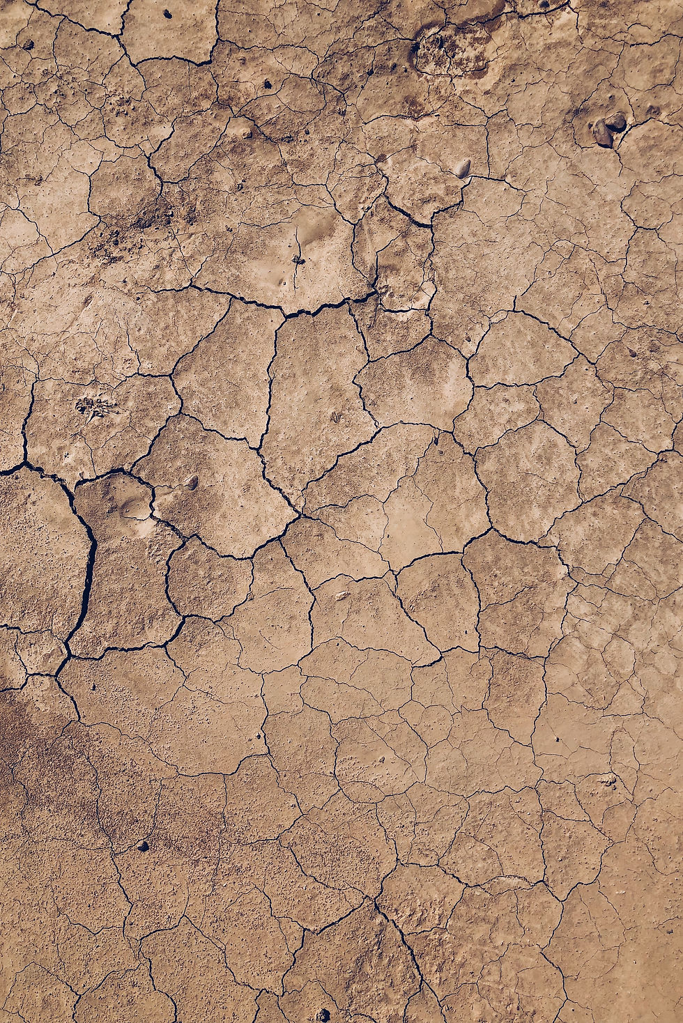 Soil Talk - DROUGH