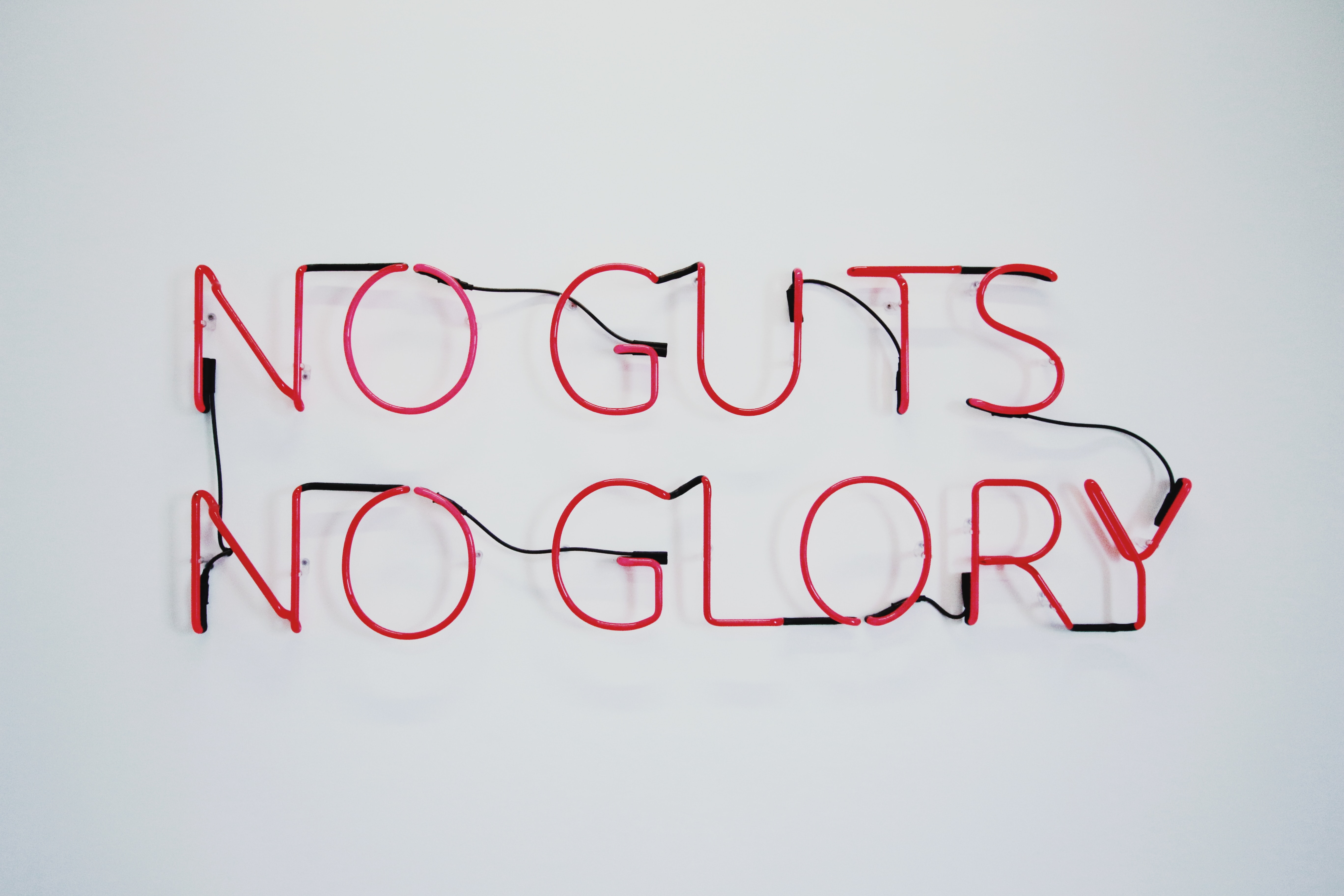 Gut microbiome 