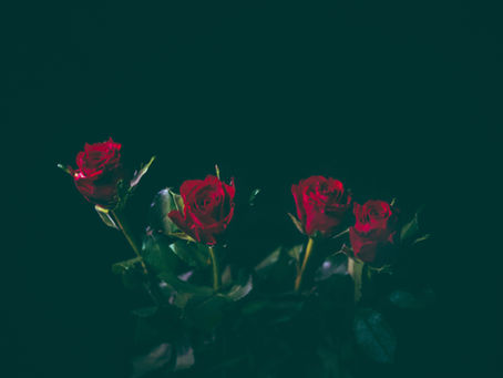 나눔의 글 - 사랑하면 죽는다