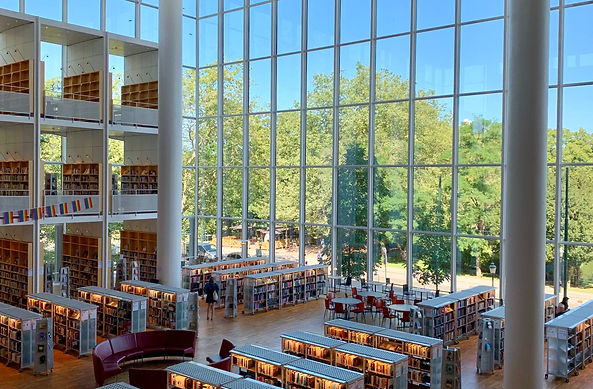 Image by DrahomÃr Hugo Posteby-Mach