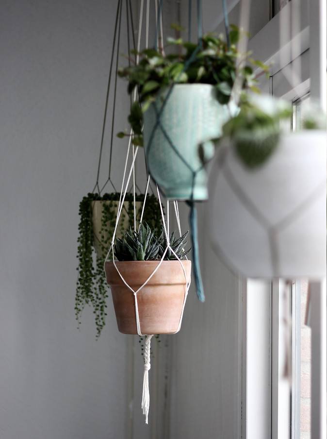 Image by Angèle Kamp