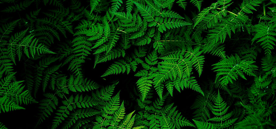 Image by Teemu Paananen
