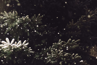 Image by Luke Hodde