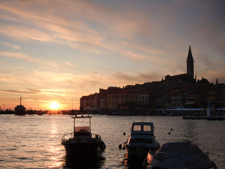 In Istria with a dog — pet-friendly sights, city walks and hotels