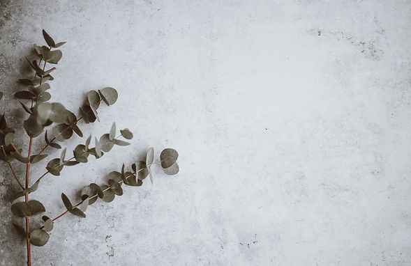 Image by Annie Spratt