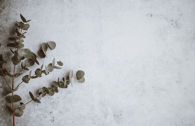 Image by Annie Spratt