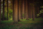 Image by Elke Karin Lugert