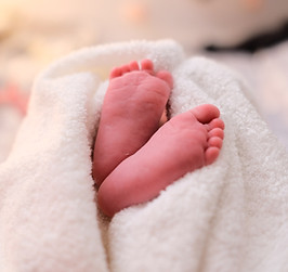 Image by Marcel Fagin