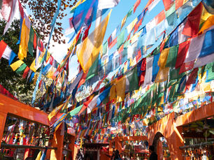 Cultural Etiquette When Traveling in India- Dos and Don’ts for 2025