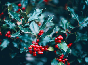 12/10 & 12/11 Riverside United Methodist Church Holly Berry Fair