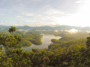 ECO Mission: Planting Trees for a Greener Future...