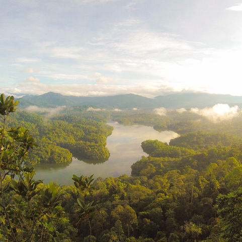 ECO Mission: Planting Trees for a Greener Future...