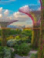 colourful pink and green trees overlooking skyline in Singapore