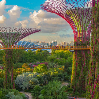 Gardens by the Bay in Singapore
