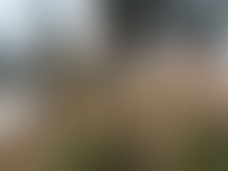 NASIONA SŁODKIEJ BAZYLII