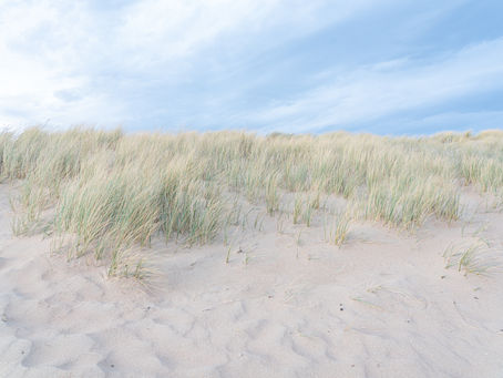 Joy and Grief Can Coexist (And Often Do)