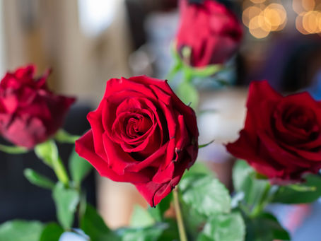 Say it with Flowers- The Language of Flowers