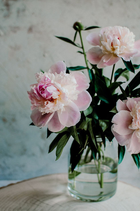Image by Magdalena Raczka