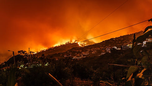 Image by Michael Held